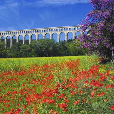 Poppies and aqueduc Roquefavour