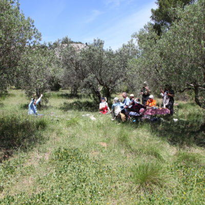 Picnic in the olive grove after the plein air session